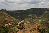 Rwanda Medium Dark- 12 oz.