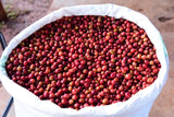 Rwanda Medium Dark- 12 oz.